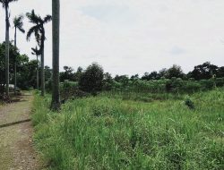 Kejar Target PAD BBI Pekalongan Komersilkan Lahan Milik Daerah