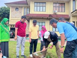 Tanam Pohon Ciptakan Lingkungan Yang Nyaman Dan Asri